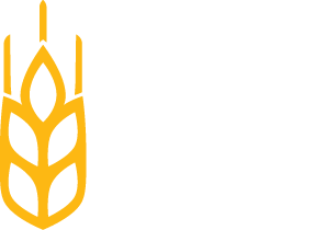 Disipan